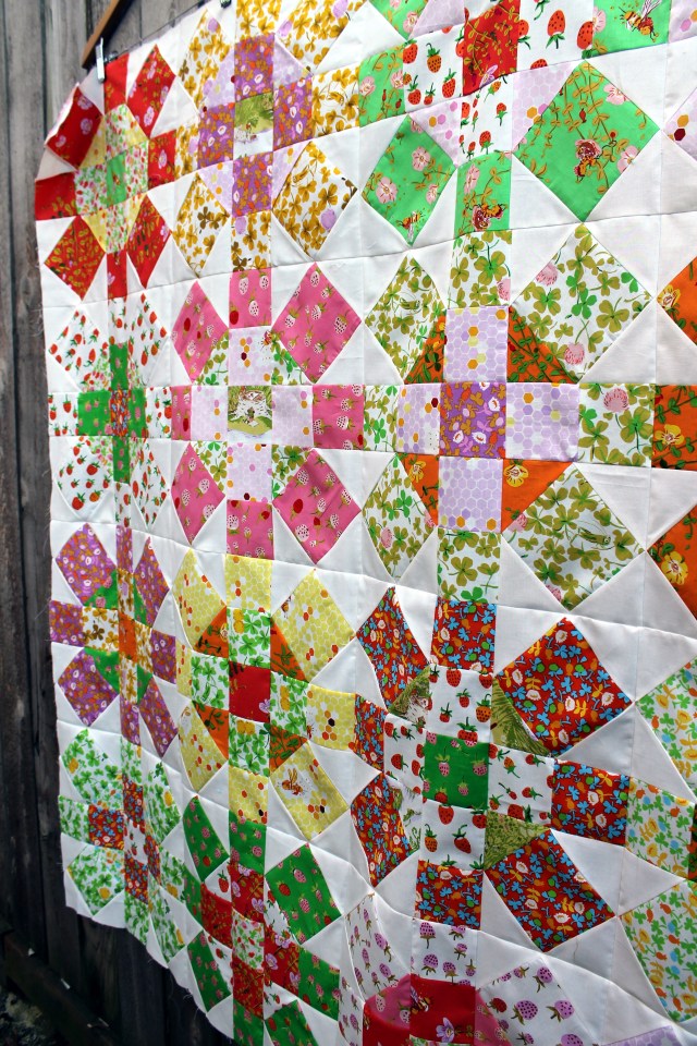 Briar Rose quilt top 2