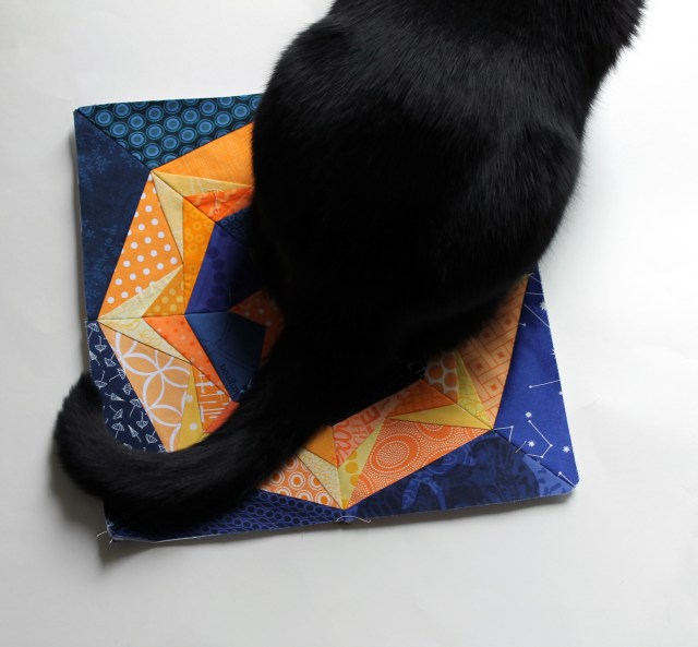 Kitty seal of approval