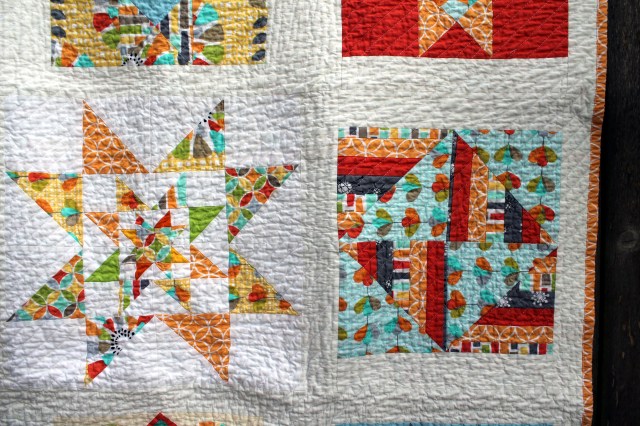 Michael Miller quilt detail